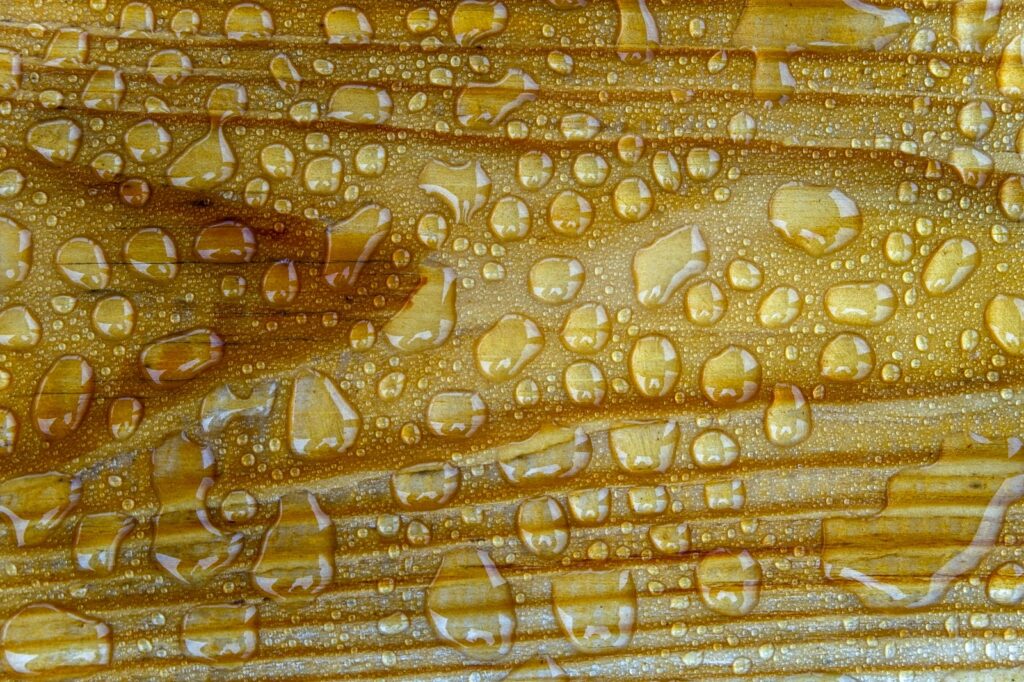 Skladatelia klasickej éry - Haydn, Mozart, Beethoven