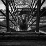 Rozdiely medzi orchestráciou a aranžmánom