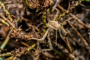 Pragmatika a význam kontextu