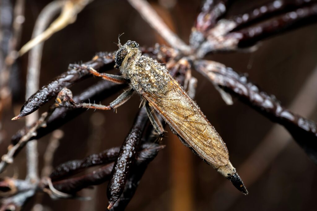 Neformálne komunikačné štýly online