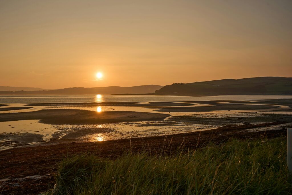 Krvný tlak a jeho regulácia