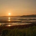 Krvný tlak a jeho regulácia