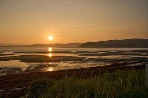 Krvný tlak a jeho regulácia