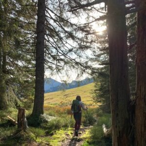 Psychológia zliav: kotvenie, rámcovanie a kontext