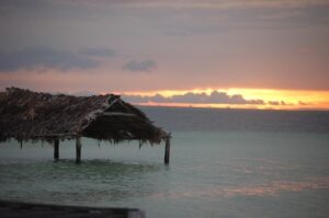 Makrocyklus, mikrocyklus a sezónne plánovanie