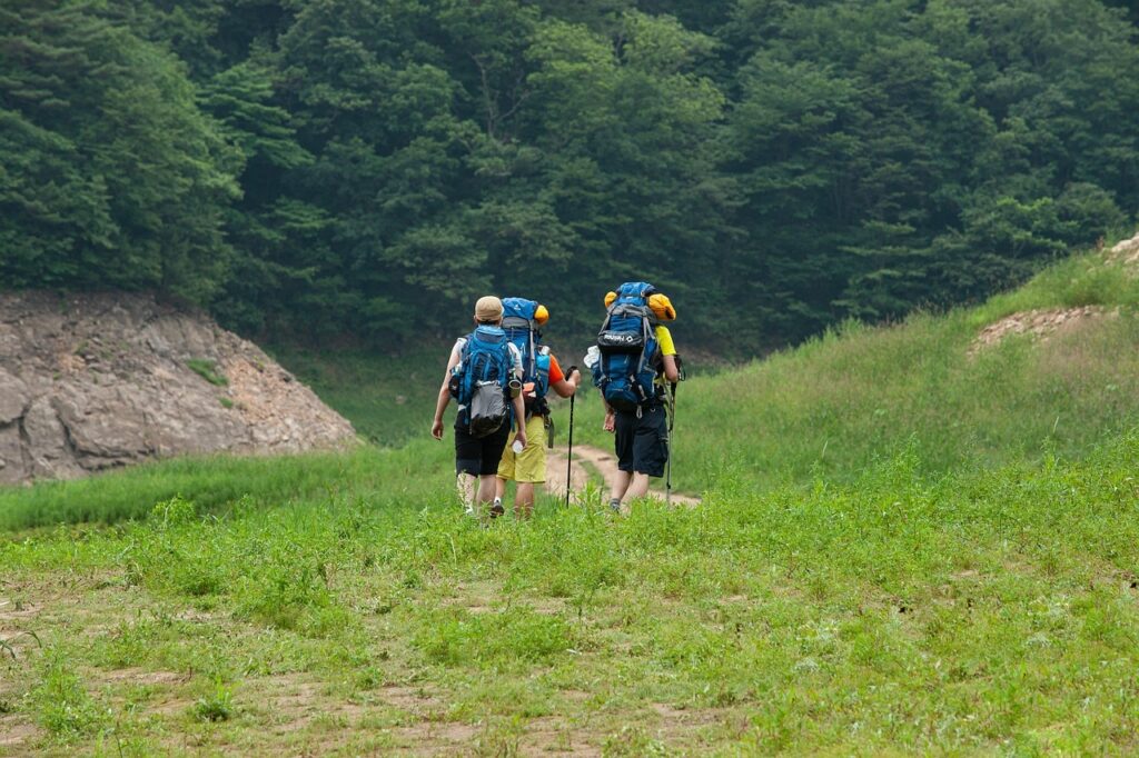 Etické aspekty produkcie mäsa a rastlín