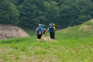 Etické aspekty produkcie mäsa a rastlín