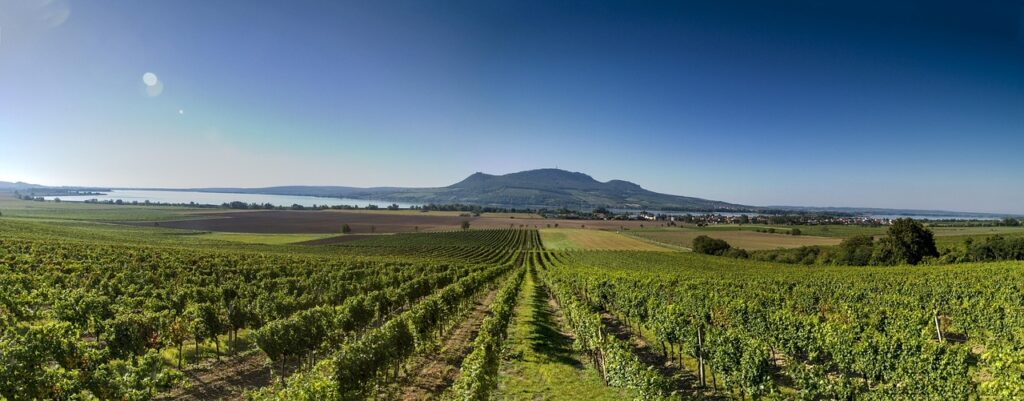 Presné poľnohospodárstvo: multispektrálne mapy a variabilná aplikácia