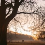 Blockchain vs. databáza: čo je vlastne nové