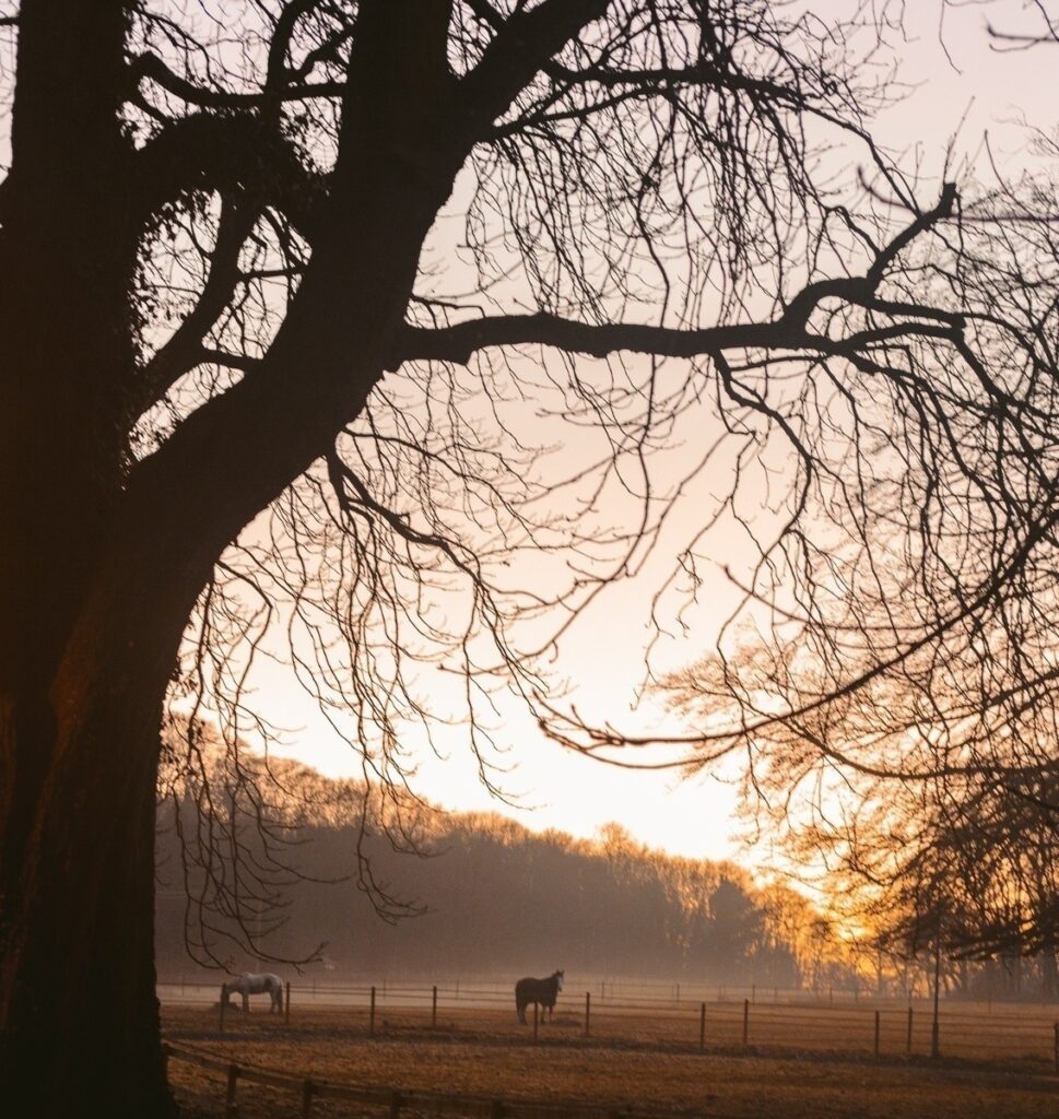 Blockchain vs. databáza: čo je vlastne nové