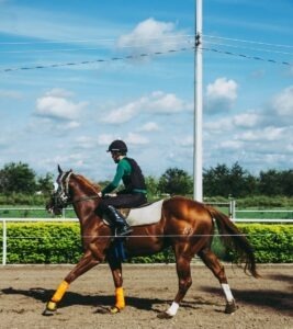 Dermokozmetika vs. prírodná kozmetika: výber podľa cieľa