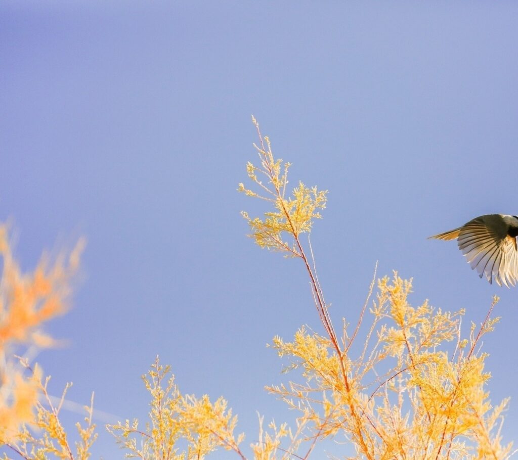 Living wage vs. minimálna mzda: čo firma reálne ovplyvní