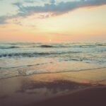 Frekvencia správ: záujem vs. zahltenie