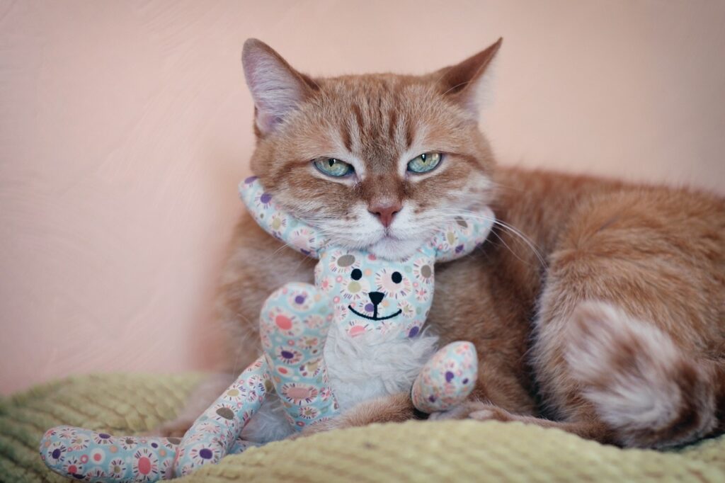 Študentské pôžičky: ako si ich nastaviť udržateľne