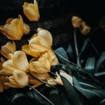 Kontrola opakovaného použitia hesiel: bezpečný postup