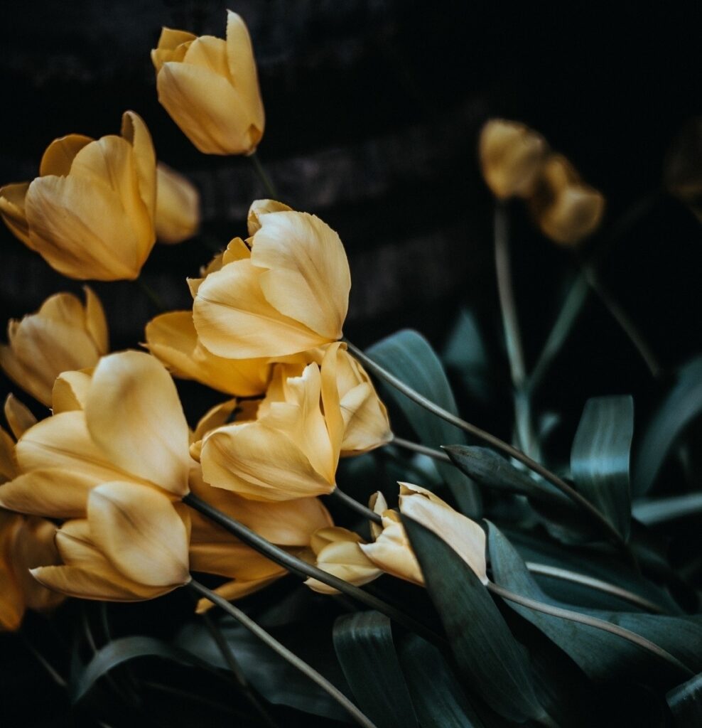 Kontrola opakovaného použitia hesiel: bezpečný postup