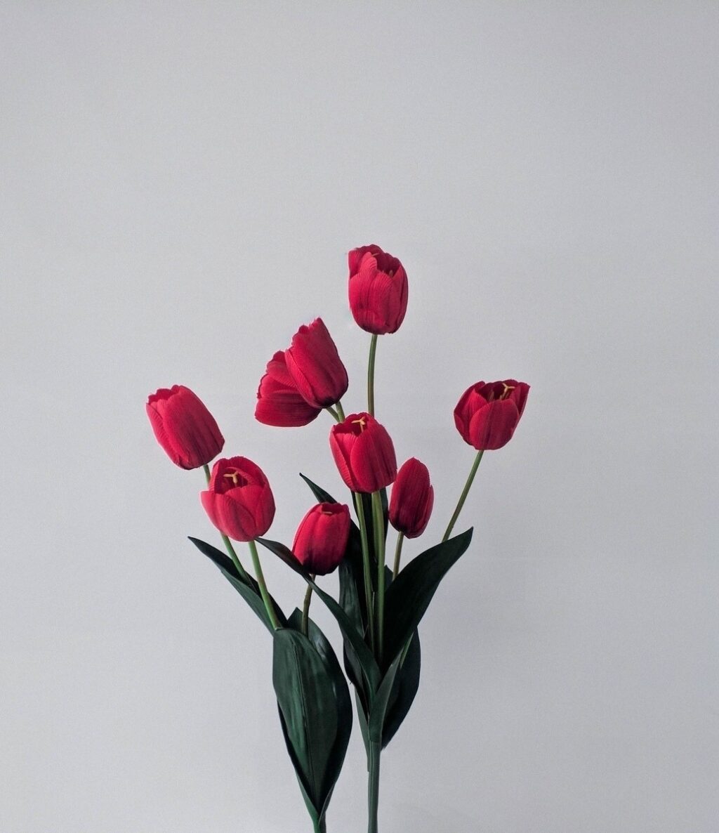 Biodiverzita na dvore: kvitnúce lúky, hmyzie hotely, vtáčie búdky