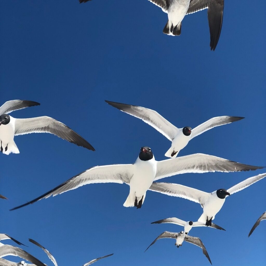 Ako si vybrať autoškolu: kritériá, otázky, referencie