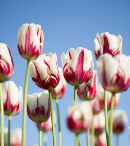 Veľká Británia: národné parky a pobrežné chodníky