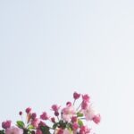 Analýza trhu: veľkosť, segmenty, rast, trendy