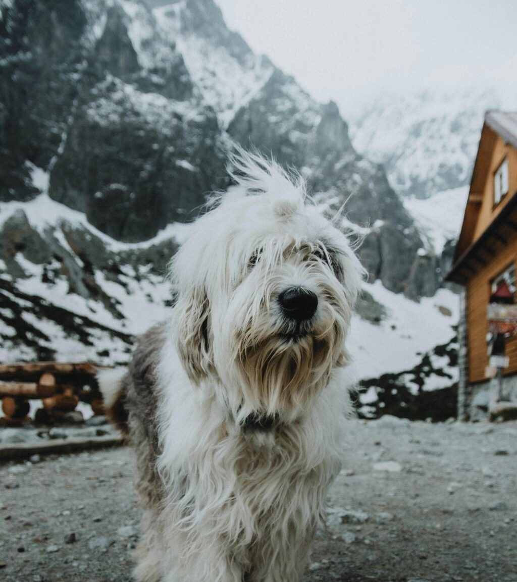 Úverová kalkulačka: ako ju používať správne