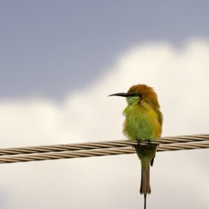 Cenové a maržové scenáre: citlivostná analýza