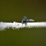 Romantické a investičné podvody: červené vlajky