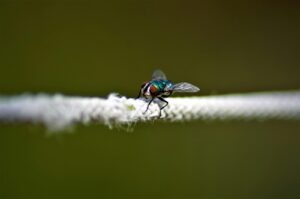 Romantické a investičné podvody: červené vlajky