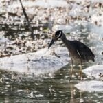 Podcast PR: ako sa dostať do 50 podcastov za 6 mesiacov