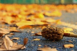 Schema pre marketplaces a multi-vendor weby