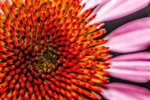 Multi-intent landing: riešenie viacerých otázok na jednej stránke