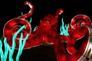 Interné odkazy na definície a glosár