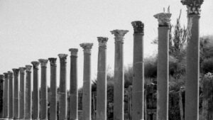 Organization/LocalBusiness: údaje o firme/prevádzke