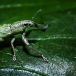 Redirect 301: trvalé presmerovanie