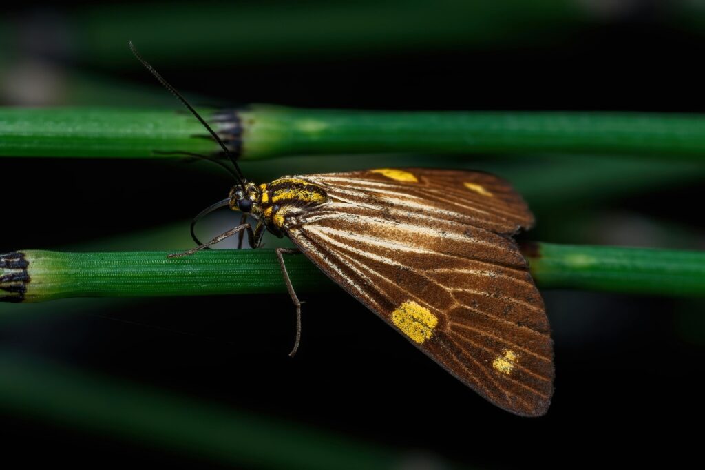 Firemná identita v interiéri: custom prvky, branding, farby