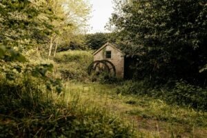 Hybridní mobilní vývoj (Flutter, React Native)