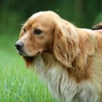 Ranné rituály: ako si pozitívne nastaviť deň