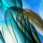 Podvojné účtovníctvo