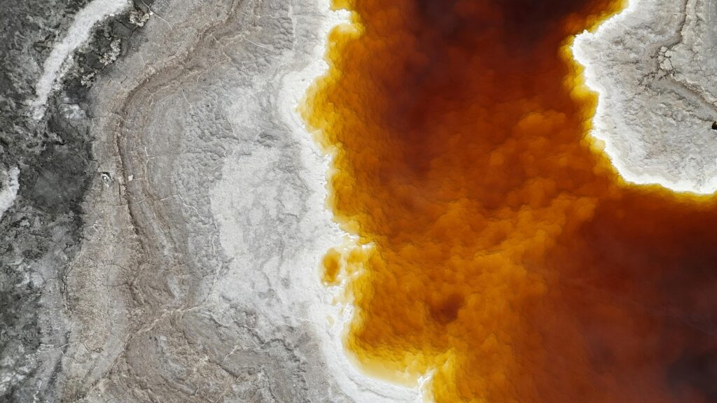 Neživotné poistenie