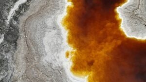 Neživotné poistenie