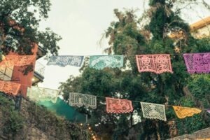 Kardiovaskulárne choroby