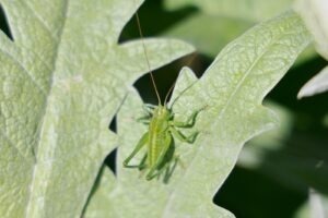 Verejný manažment a správa inštitúcií