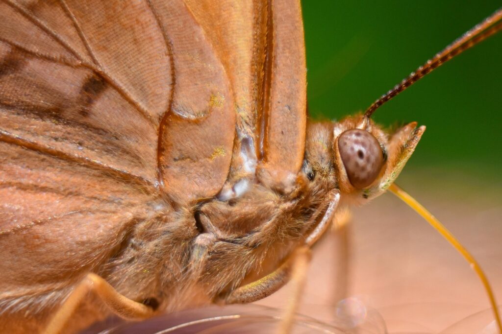 Tepelná a zvuková izolace podlah