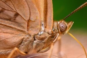 Tepelná a zvuková izolace podlah