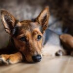 Terapia svetlom v zime: kedy a ako bezpečne