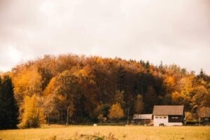 Údržba a servis garážových vrat