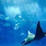 vzdelavanie-financie-ekonomika-podnikanie-1004