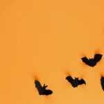 vzdelavanie-financie-ekonomika-podnikanie-1039