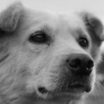 vzdelavanie-financie-ekonomika-podnikanie-1052