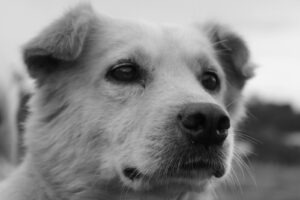 vzdelavanie-financie-ekonomika-podnikanie-1052